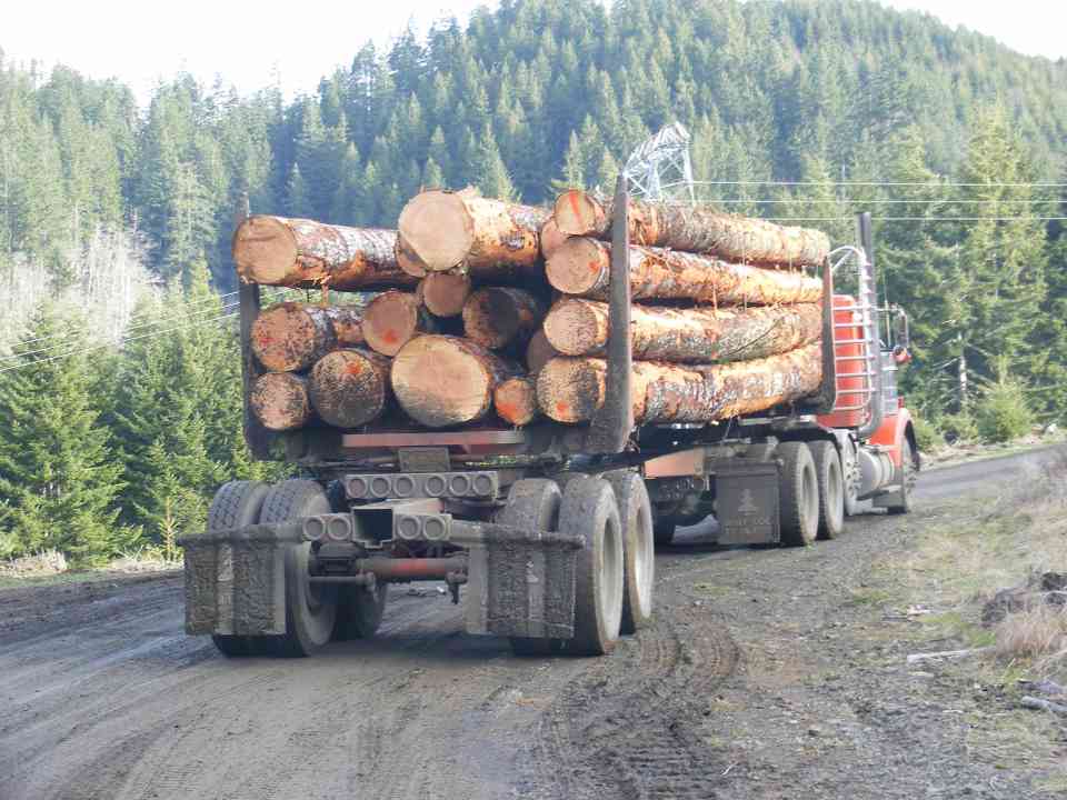 特朗普家具关税新政引争议：难促本土投资反伤批发零售，集装箱运输或再遭 “降温”(图2)