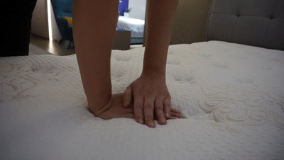 11.gif