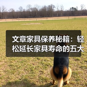 文章家具保养秘籍:轻松延长家具寿命的五大技巧(图4) 文章家具保养秘籍:轻松延长家具寿命的五大技巧(图4)
