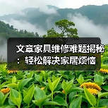 文章家具维修难题揭秘：轻松解决家居烦恼（图4）
