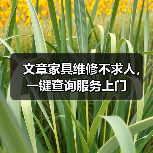 文章家具维修不求人，一键查询服务上门（图1）