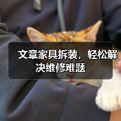 文章家具拆装，轻松解决维修难题（图3）