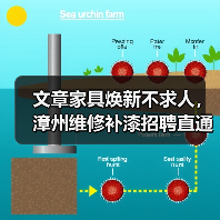 文章家具焕新不求人,漳州维修补漆招聘直通车(图2) 文章家具焕新不求人,漳州维修补漆招聘直通车(图2)