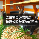文章家具维修售后：揭秘高效服务系统的秘密（图3）