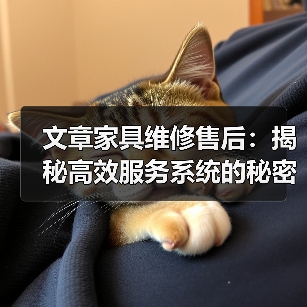 文章家具维修售后：揭秘高效服务系统的秘密（图4）